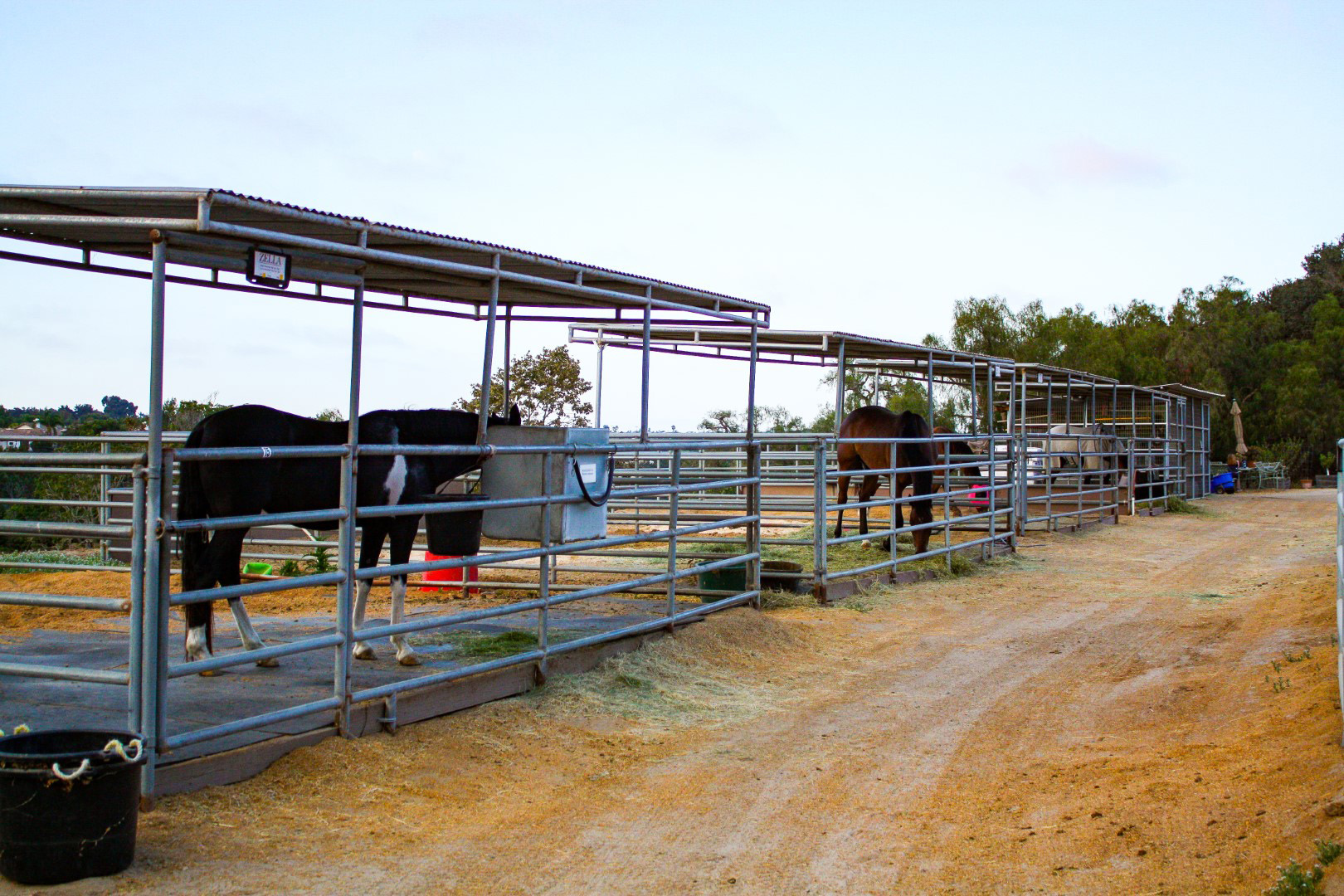 Separated Corral Pen